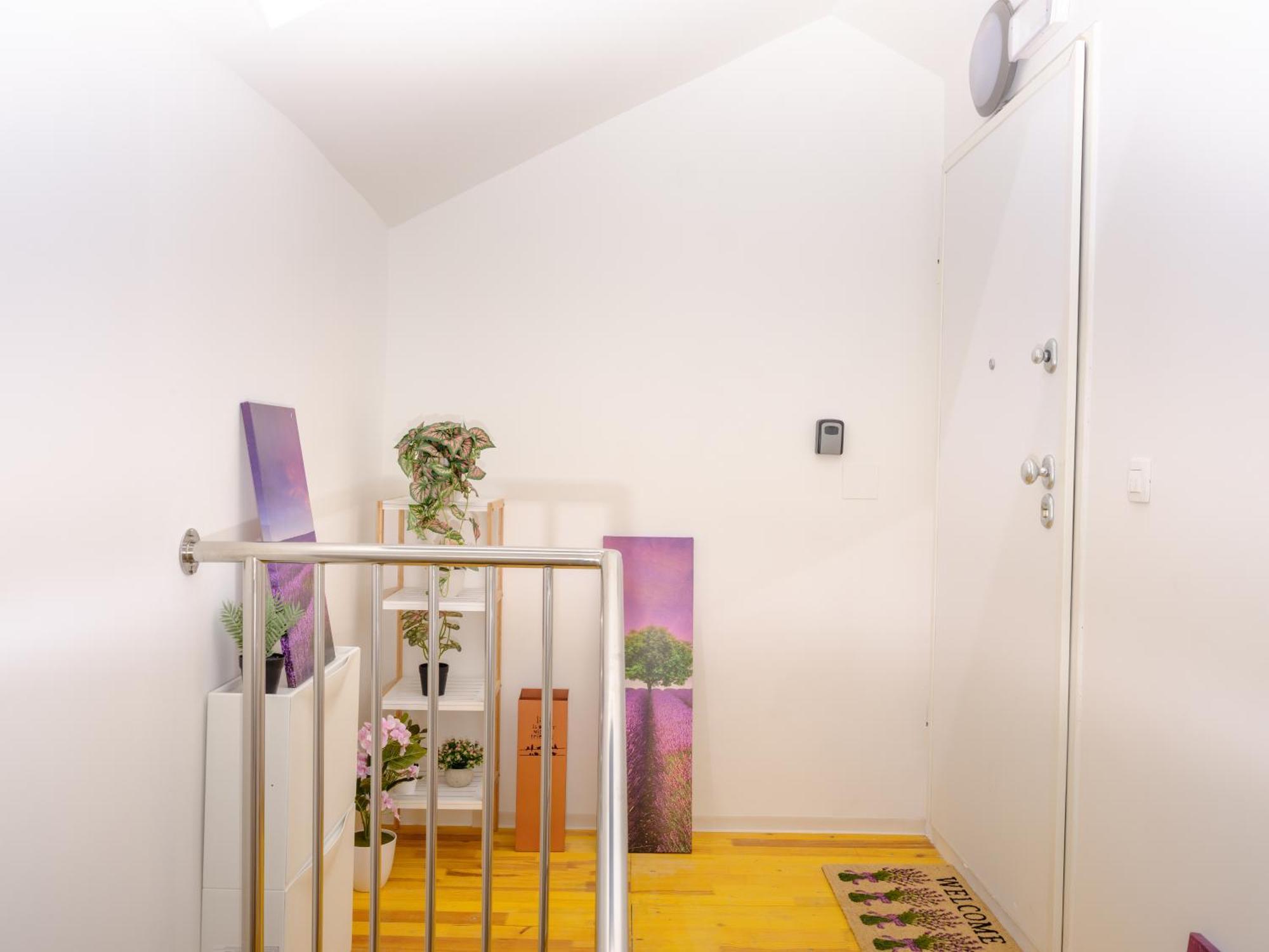 Seaview Apartments Roberta 扎达尔 外观 照片